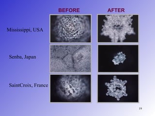 BEFORE   AFTER


Mississippi, USA




 Senba, Japan




 SaintCroix, France



                                       19
 