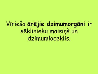 Vīrieša ārējie dzimumorgāni ir
sēklinieku maisiņš un
dzimumloceklis.

 