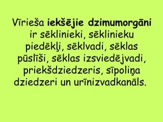 Vīrieša iekšējie dzimumorgāni
ir sēklinieki, sēklinieku
piedēkļi, sēklvadi, sēklas
pūslīši, sēklas izsviedējvadi,
priekšdziedzeris, sīpoliņa
dziedzeri un urīnizvadkanāls.

 