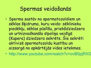 Spermas veidošanās

• Sperma sastāv no spermatozoīdiem un
sēklas šķidruma, kuru veido: sēklinieku
piedēkļu, sēklas pūslīšu, priekšdziedzera
un urīnizvadkanāla sīpoliņa veidīgā
(Kupera) dziedzera sekrēts. Šie sekrēti
aktivizē spermatozoīdu kustību un
aizsargā no apkārtējās vides ietekmes.
• http://www.youtube.com/watch?v=ovB0pjRXG

 