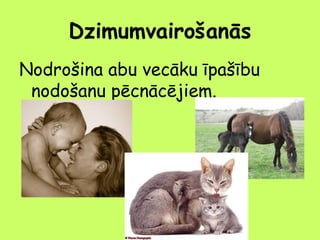 Dzimumvairošanās
Nodrošina abu vecāku īpašību
nodošanu pēcnācējiem.

 