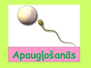 Apaugļošanās

 