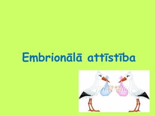 Embrionālā attīstība

 