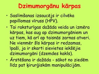 Dzimumorgānu kārpas
• Saslimšanas izsaucējs ir cilvēka
papillomas vīruss (HPV).
• Tai raksturīgas dažāda veida un izmēra
kārpas, kas aug ap dzimumorgāniem un
uz tiem, kā arī ap taisnās zarnas atveri.
Ne vienmēr šīs kārpas ir redzamas,
īpaši, ja ir skarti sievietes iekšējie
dzimumorgāni (dzemdes kakls).
• Ārstēšana ir dažāda - sākot no ziedēm
līdz pat ķirurģiskām manipulācijām.

 