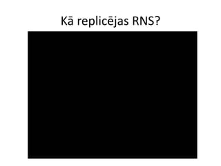 Kā replicējas RNS?
 