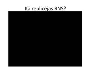 Kā replicējas RNS?
 
