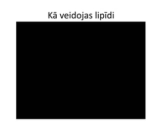 Kā veidojas lipīdi
 