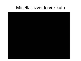 Micellas izveido vezikulu
 