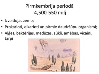 Pirmkembrija periodā
                 4,500-550 milj
• Izveidojas zeme;
• Prokarioti, eikarioti un pirmie daudzšūņu organismi;
• Aļģes, baktērijas, medūzas, sūkļi, amēbas, vicaiņi,
  tārpi
 