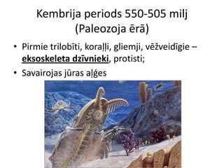Kembrija periods 550-505 milj
             (Paleozoja ērā)
• Pirmie trilobīti, koraļļi, gliemji, vēžveidīgie –
  eksoskeleta dzīvnieki, protisti;
• Savairojas jūras aļģes
 