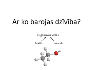 Ar ko barojas dzīvība?
         Organiskās vielas

       Ogleklis      Ūdeņradis
 