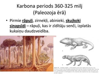 Karbona periods 360-325 milj
            (Paleozoja ērā)
• Pirmie rāpuļi, zirnekļi, abinieki, skujkoki
  sinapsīdi – rāpuļi, kas ir zīdītāju senči, izplatās
  kukaiņu daudzveidība.
 