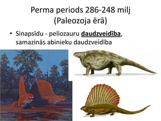 Perma periods 286-248 milj
            (Paleozoja ērā)
• Sinapsīdu - peliozauru daudzveidība,
  samazinās abinieku daudzveidība
 