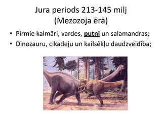 Jura periods 213-145 milj
             (Mezozoja ērā)
• Pirmie kalmāri, vardes, putni un salamandras;
• Dinozauru, cikadeju un kailsēkļu daudzveidība;
 