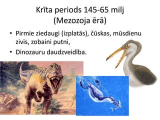 Krīta periods 145-65 milj
              (Mezozoja ērā)
• Pirmie ziedaugi (izplatās), čūskas, mūsdienu
  zivis, zobaini putni,
• Dinozauru daudzveidība.
 
