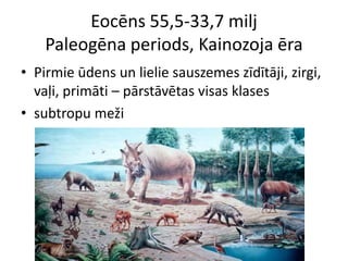 Eocēns 55,5-33,7 milj
    Paleogēna periods, Kainozoja ēra
• Pirmie ūdens un lielie sauszemes zīdītāji, zirgi,
  vaļi, primāti – pārstāvētas visas klases
• subtropu meži
 