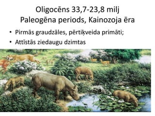 Oligocēns 33,7-23,8 milj
   Paleogēna periods, Kainozoja ēra
• Pirmās graudzāles, pērtiķveida primāti;
• Attīstās ziedaugu dzimtas
 