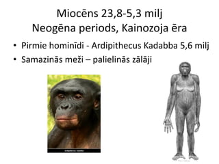 Miocēns 23,8-5,3 milj
    Neogēna periods, Kainozoja ēra
• Pirmie hominīdi - Ardipithecus Kadabba 5,6 milj
• Samazinās meži – palielinās zālāji
 