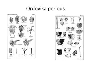 Ordovika periods
 