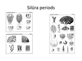 Silūra periods
 