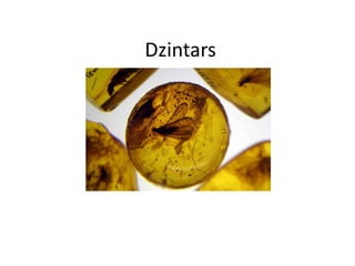 Dzintars
 