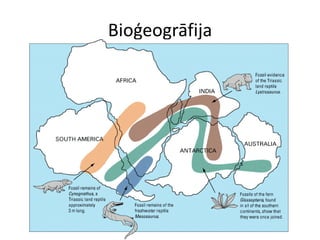 Bioģeogrāfija
 