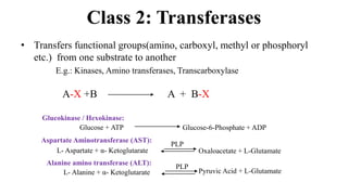 Transferase Rxn E 01 Classification and Properties of enzymes | PPTX