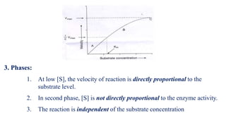 3. Phases:
1. At low [S], the velocity of reaction is directly proportional to the
substrate level.
2. In second phase, [S] is not directly proportional to the enzyme activity.
3. The reaction is independent of the substrate concentration
 