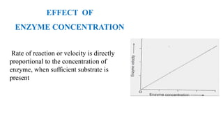 Rate of reaction or velocity is directly
proportional to the concentration of
enzyme, when sufficient substrate is
present
EFFECT OF
ENZYME CONCENTRATION
 