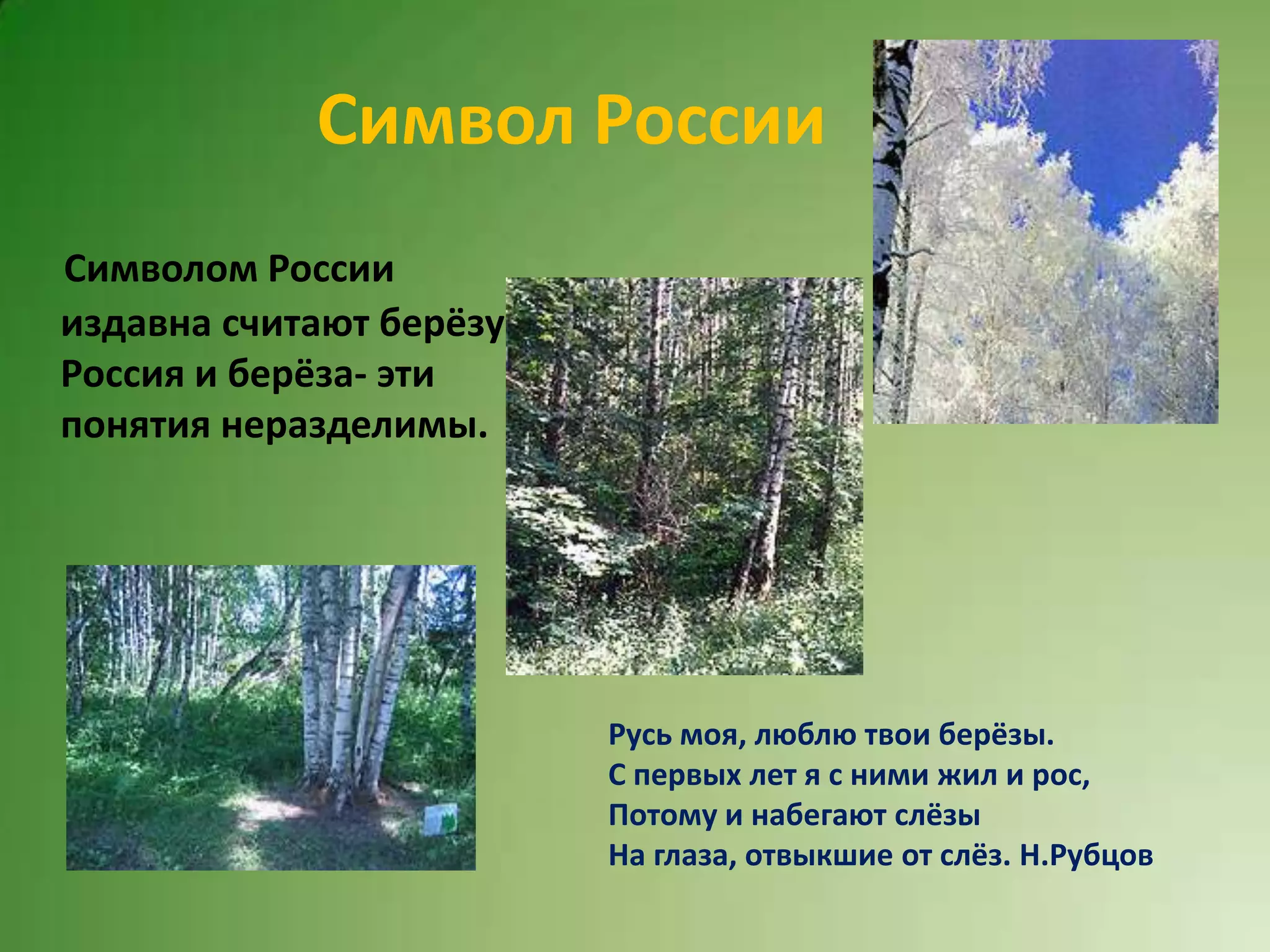 россия.бедаш