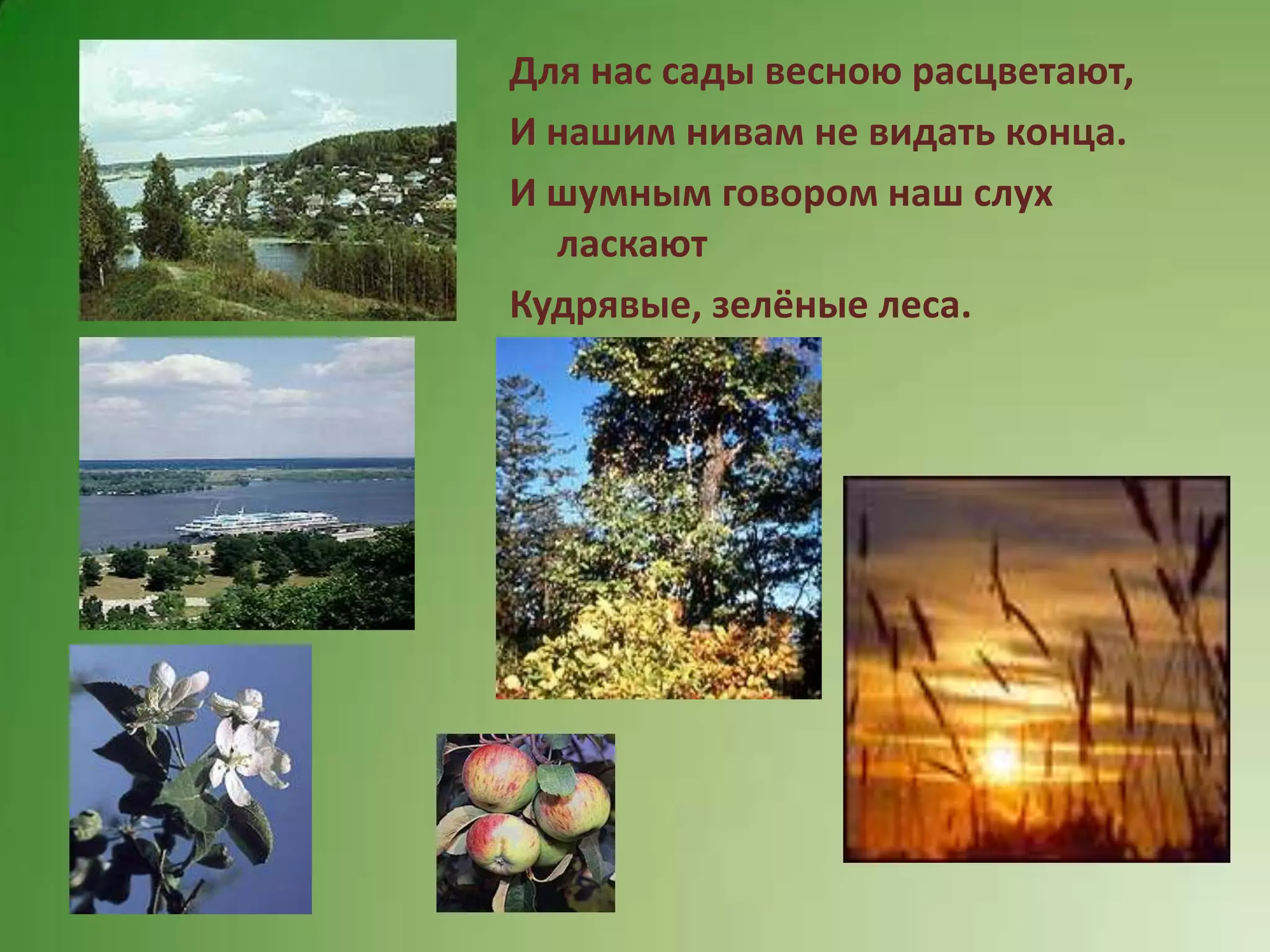 россия.бедаш