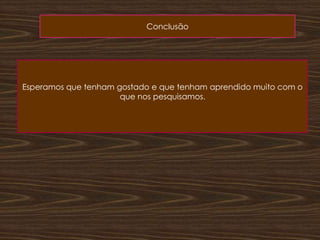 ConclusãoEsperamos que tenham gostado e que tenham aprendido muito com o que nos pesquisamos.