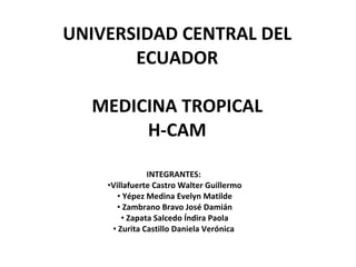 UNIVERSIDAD CENTRAL DEL ECUADOR MEDICINA TROPICAL H-CAM ,[object Object],[object Object],[object Object],[object Object],[object Object],[object Object]