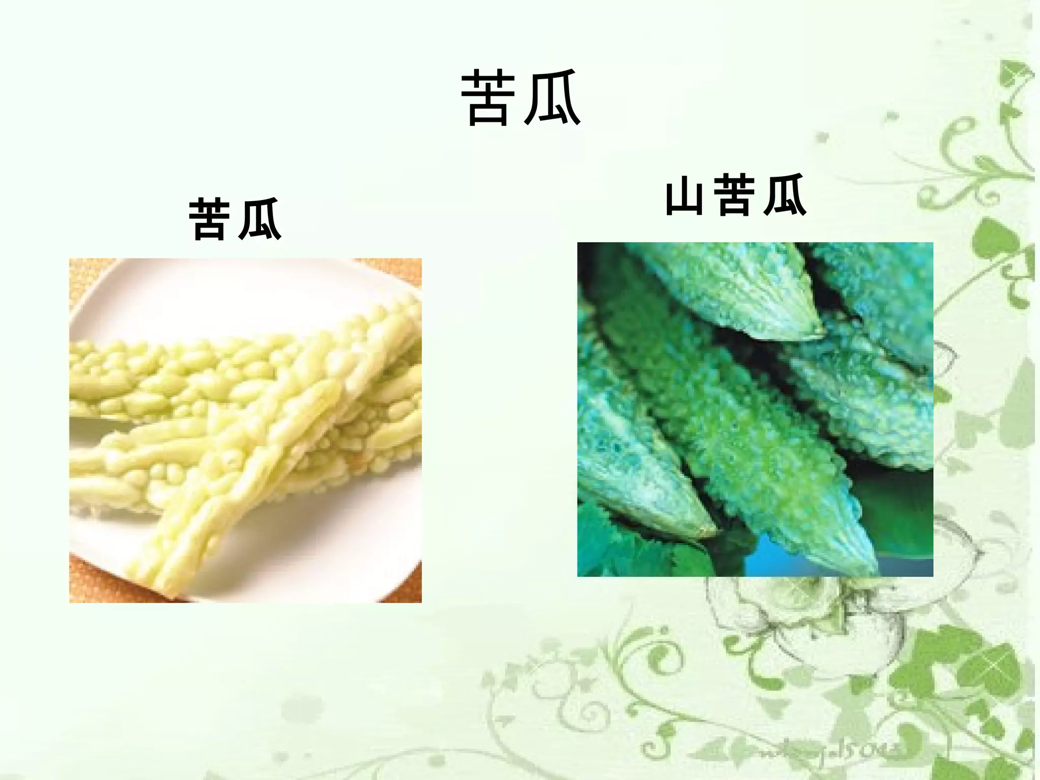 苦瓜
          山苦瓜
苦瓜
 