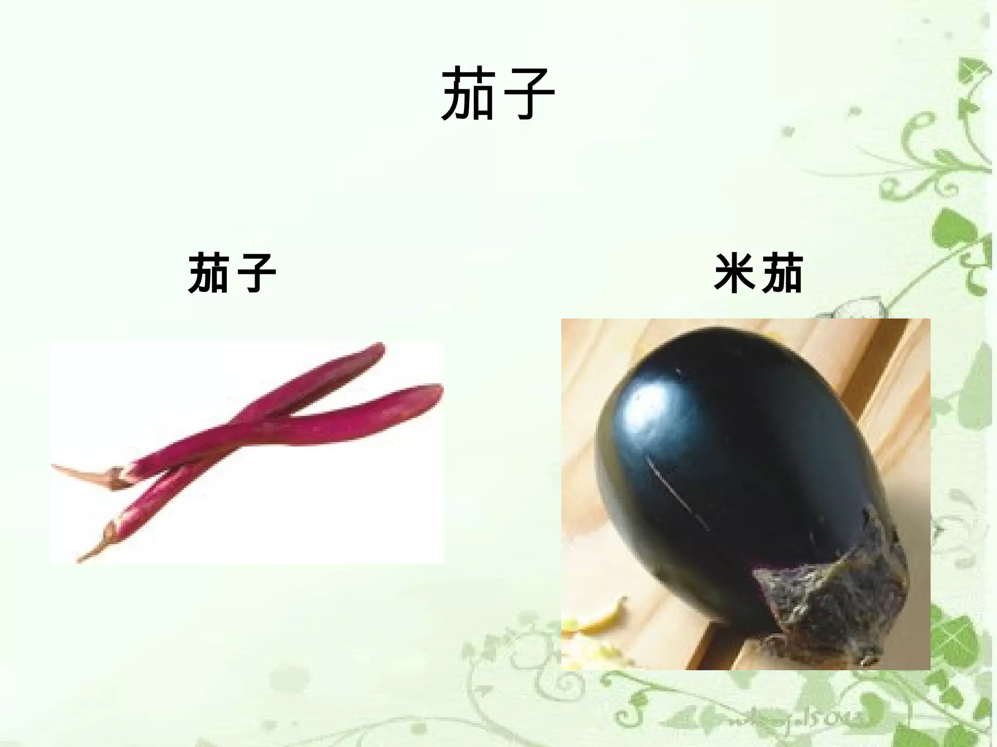 茄子

茄子        米茄
 