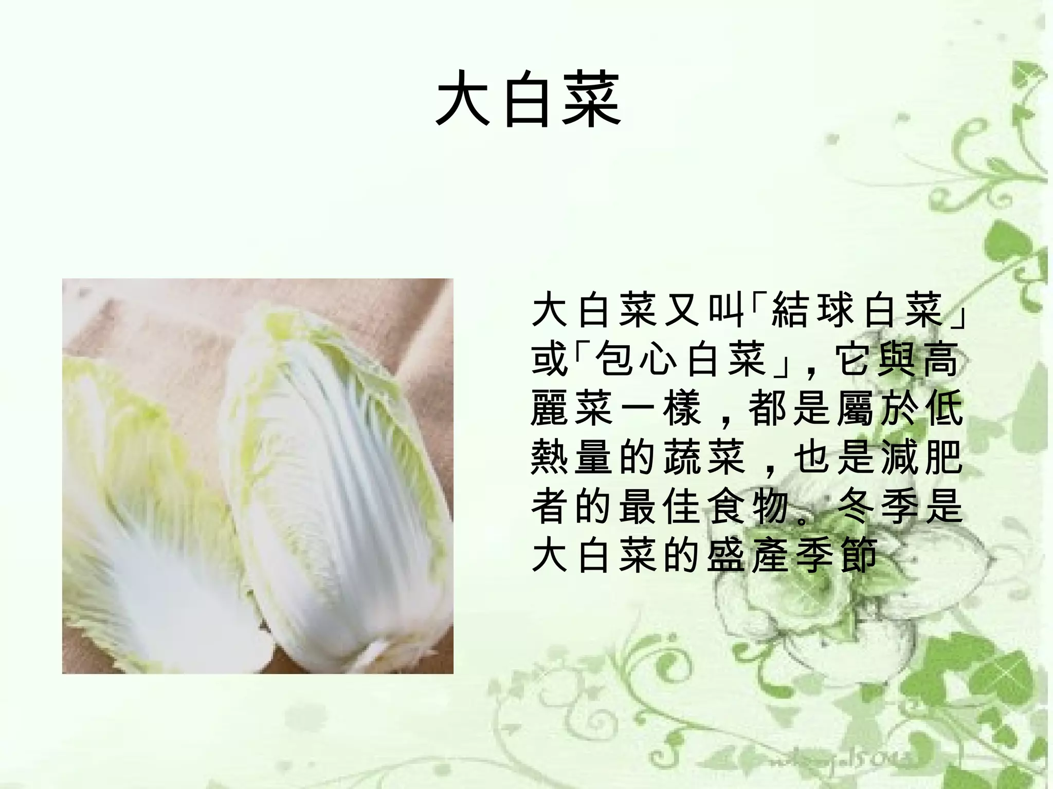 大白菜


 大白菜又叫 「結球白菜 」
 或 「包心白菜 」，它與高
 麗菜一樣 ，都是屬於低
 熱量的蔬菜 ，也是減肥
 者的最佳食物 。冬季是
 大白菜的盛產季節
 