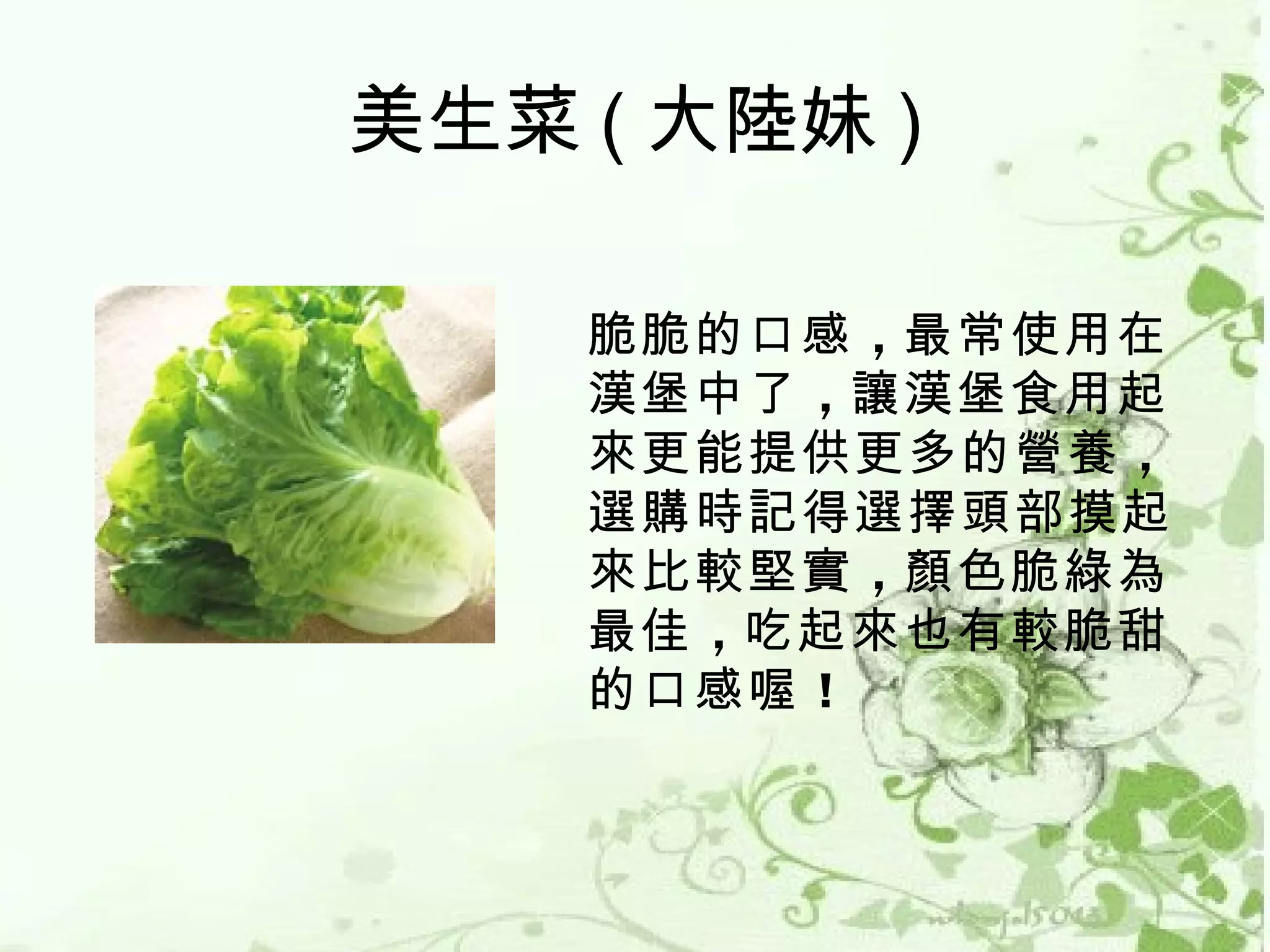 美生菜 ( 大陸妹 )

    脆脆的口感 ，最常使用在
    漢堡中了 ，讓漢堡食用起
    來更能提供更多的營養 ，
    選購時記得選擇頭部摸起
    來比較堅實 ，顏色脆綠為
    最佳 ，吃起來也有較脆甜
    的口感喔 ！
 