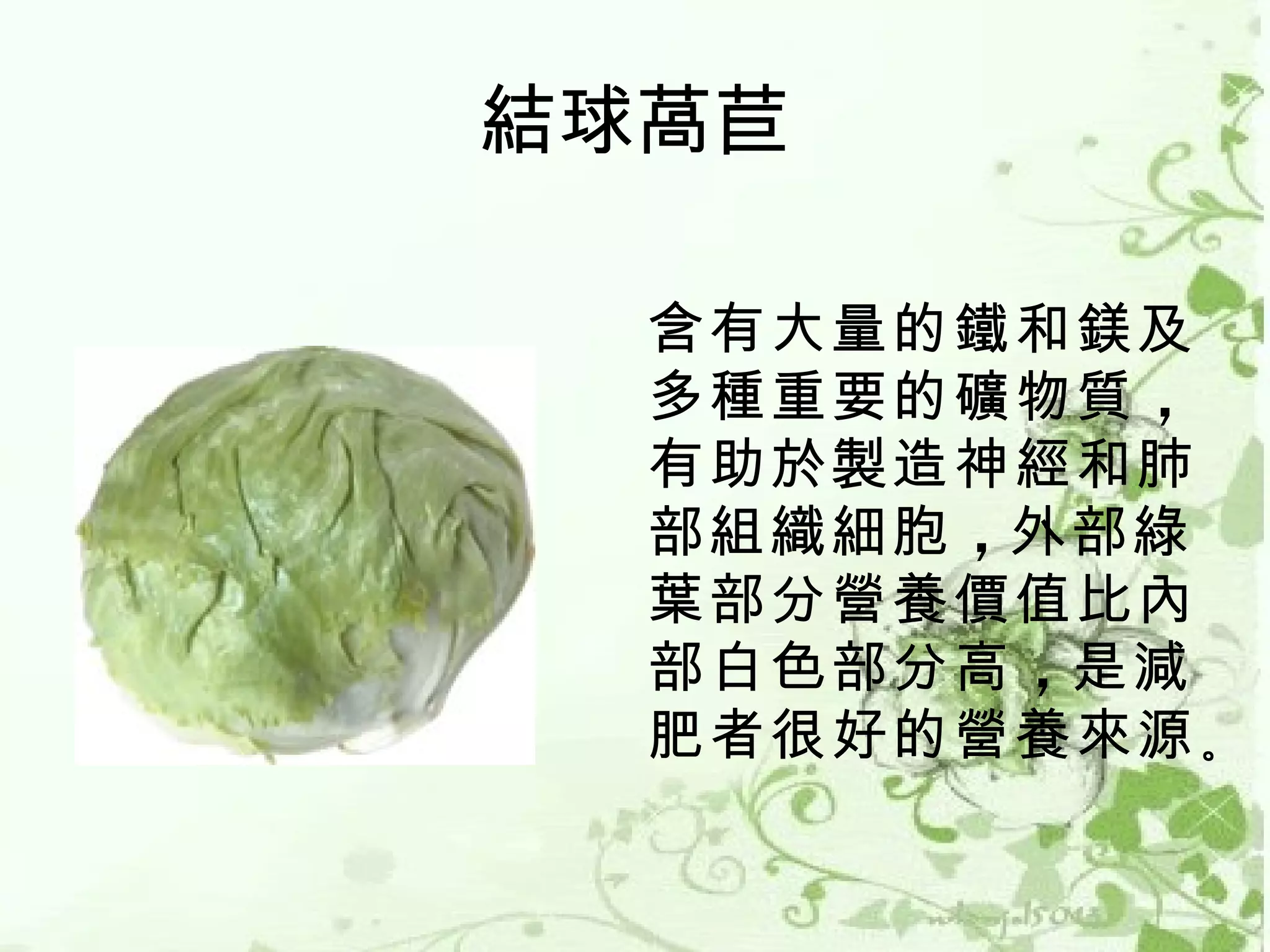 結球萵苣

  含有大量的鐵和鎂及
  多種重要的礦物質 ，
  有助於製造神經和肺
  部組織細胞 ，外部綠
  葉部分營養價值比內
  部白色部分高 ，是減
  肥者很好的營養來源 。
 