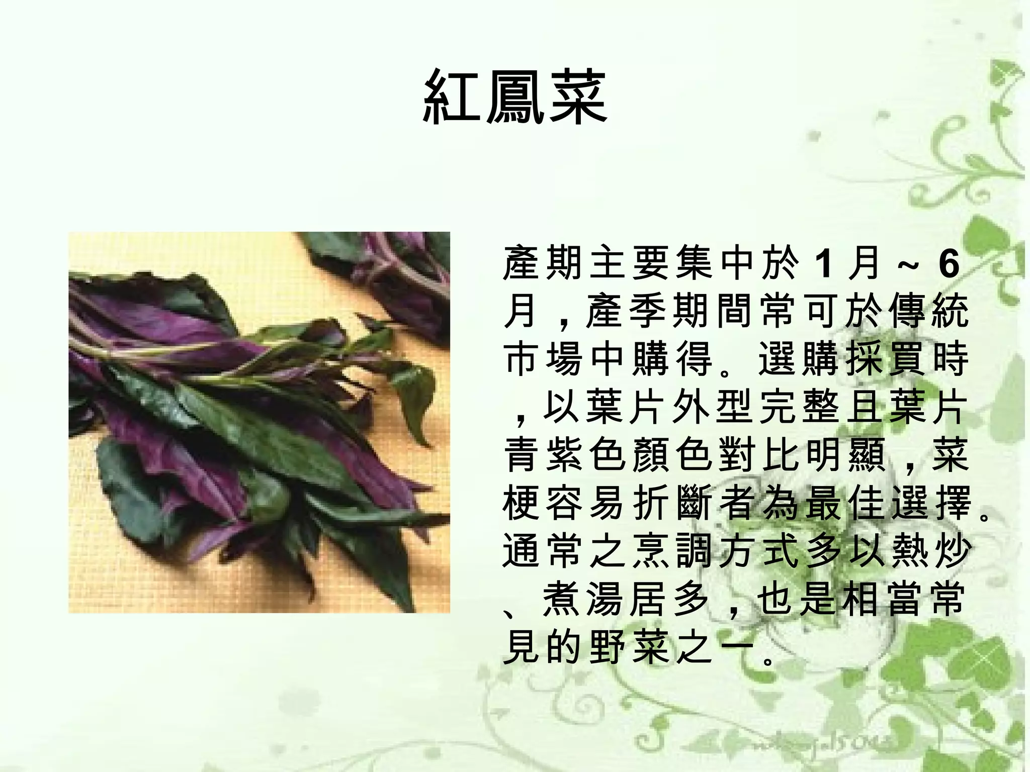 紅鳳菜

 產期主要集中於 1 月 ～ 6
 月 ，產季期間常可於傳統
 市場中購得 。選購採買時
 ，以葉片外型完整且葉片 
 青紫色顏色對比明顯 ，菜
 梗容易折斷者為最佳選擇 。
 通常之烹調方式多以熱炒
 、煮湯居多 ，也是相當常
 見的野菜之一 。
 