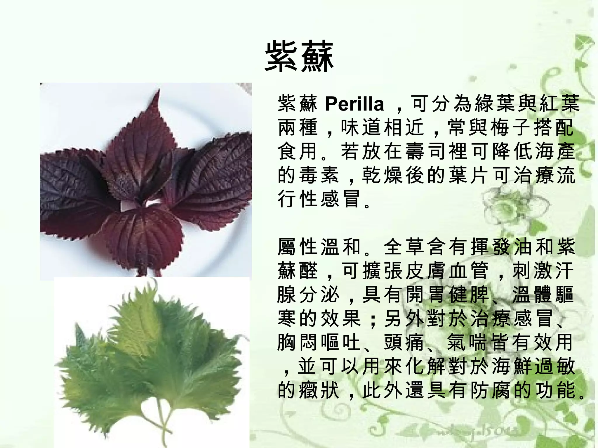 紫蘇
紫蘇 Perilla ，可分為綠葉與紅葉
兩種 ，味道相近 ，常與梅子搭配
食用 。若放在壽司裡可降低海產
的毒素 ，乾燥後的葉片可治療流
行性感冒 。 
 
屬性溫和 。全草含有揮發油和紫
蘇醛 ，可擴張皮膚血管 ，刺激汗
腺分泌 ，具有開胃健脾 、溫體驅
寒的效果 ；另外對於治療感冒 、
胸悶嘔吐 、頭痛 、氣喘皆有效用
，並可以用來化解對於海鮮過敏
的癥狀 ，此外還具有防腐的功能 。
 