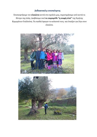 Διδακτικές επισκέψεις
Επισκεφτήκαμε τον ελαιώνα κοντά στο σχολείο μας, παρατηρήσαμε από κοντά το
δέντρο της ελιάς. Διαβάσαμε εκεί το παραμύθι ‘’η σοφή ελιά’’ της Ειρήνης
Καμαράτου-Γιαλλούση. Τα παιδιά έφαγαν το κολατσιό τους και έπαιξαν για λίγο στον
ελαιώνα.
 