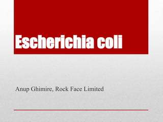 Escherichia coli
Anup Ghimire, Rock Face Limited
 