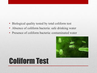 E. coli | PPT