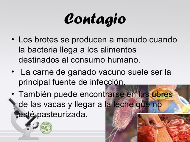 E. Coli (generalidades) -cbr-