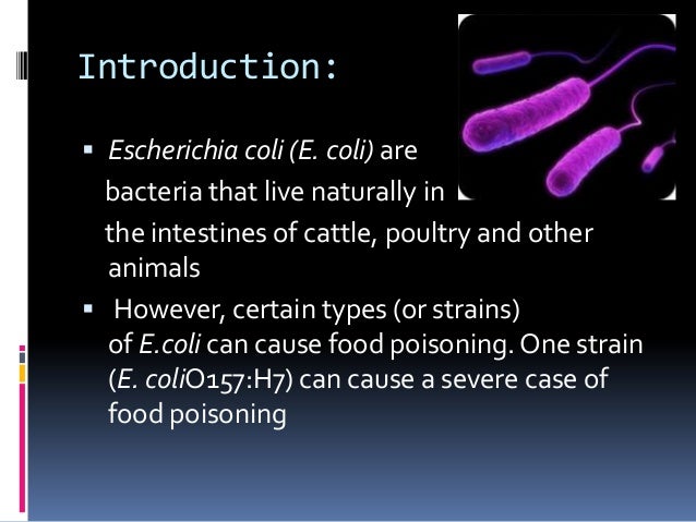 Bacteria That Can Cause Severe Food Poisoning Bacteria That Can Cause Severe Food Poisoning