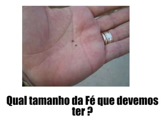 Qual tamanho da Fé que devemos
ter ?

 
