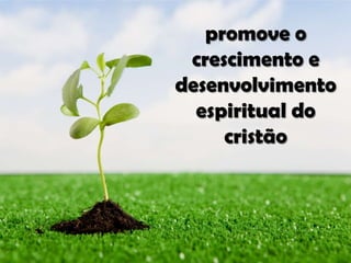 promove o
crescimento e
desenvolvimento
espiritual do
cristão

 