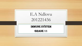 E.A Ndlovu
201221436
Immune System
Grade 11

 