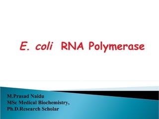 E. coli RNA Polymerase
M.Prasad Naidu
MSc Medical Biochemistry,
Ph.D.Research Scholar
 