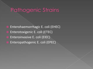  Enterohaemorrhagic E. coli (EHEC)
 Enterotoxigenic E. coli (ETEC)
 Enteroinvasive E. coli (EIEC)
 Enteropathogenic E. coli (EPEC)
 